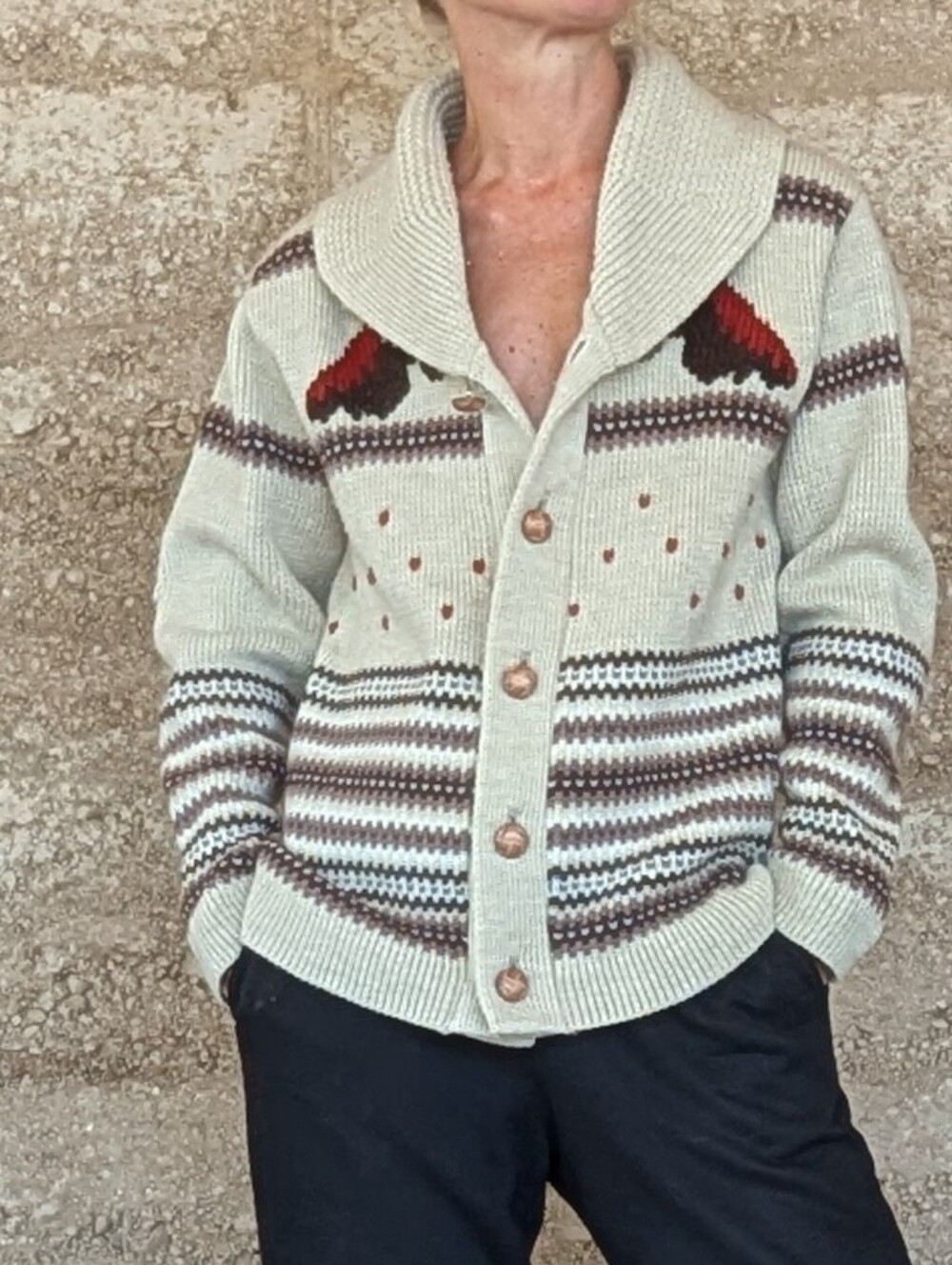 True Vintage 70s Shawl Collar Horse Cardigan Chunky Sweater Fits S / M Western